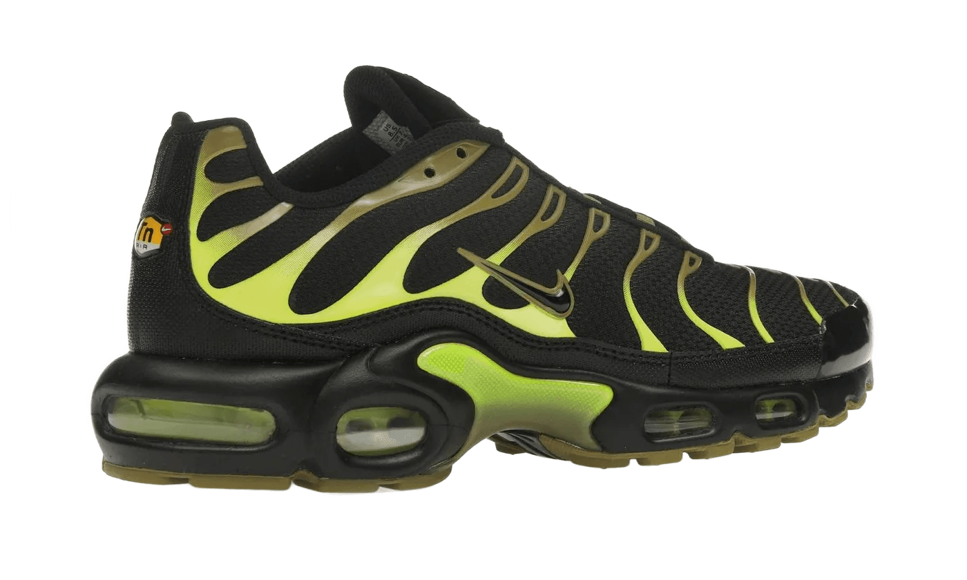 Nike Air Max Plus Pacific Moss - DM0032-010