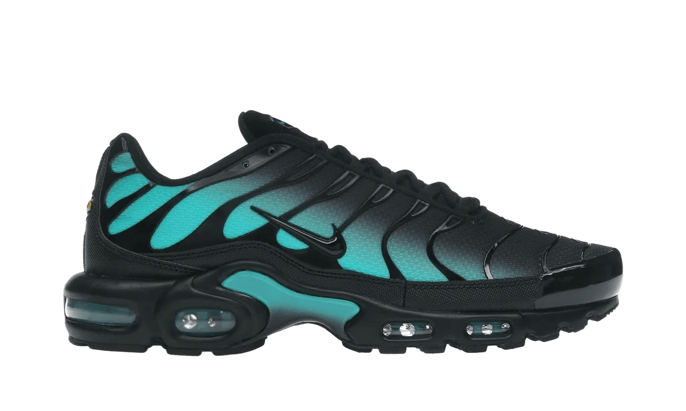 Nike Air Max Plus Black Dusty Cactus - DM0032-016